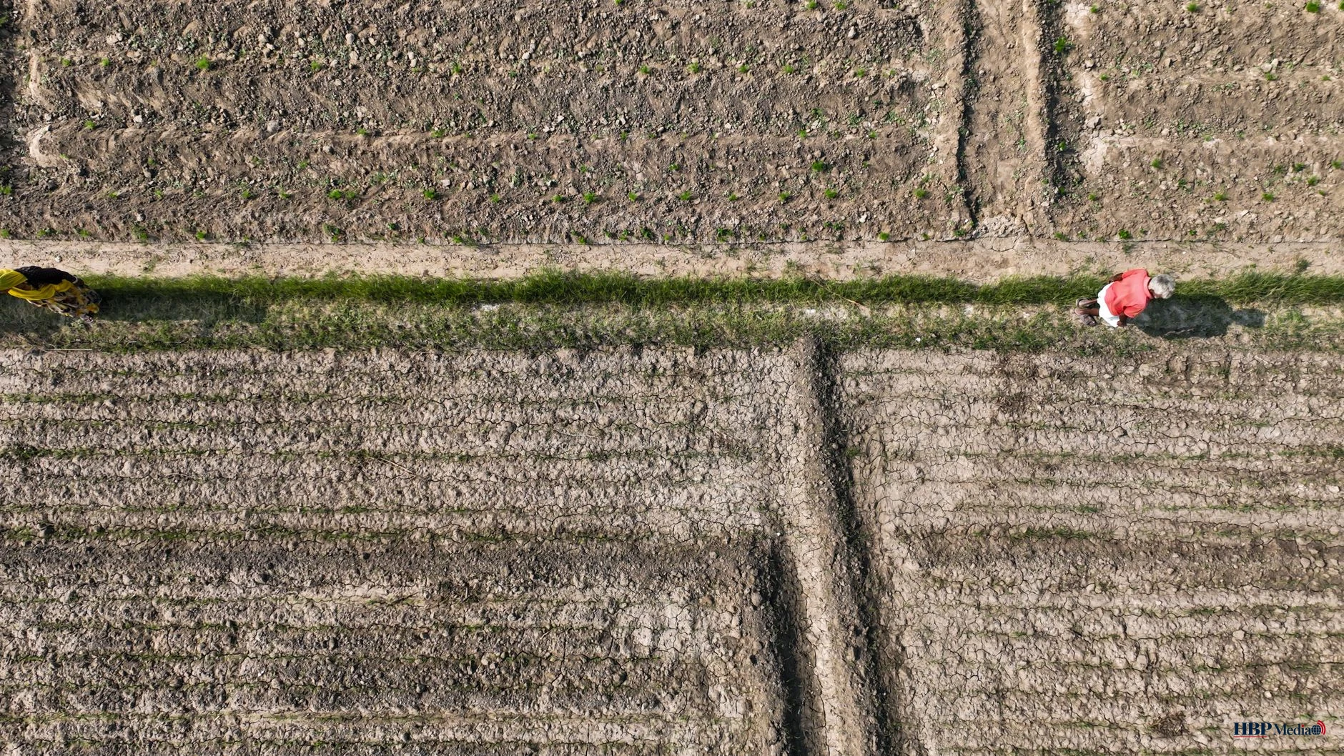 aerial view of farmers in plowed field path