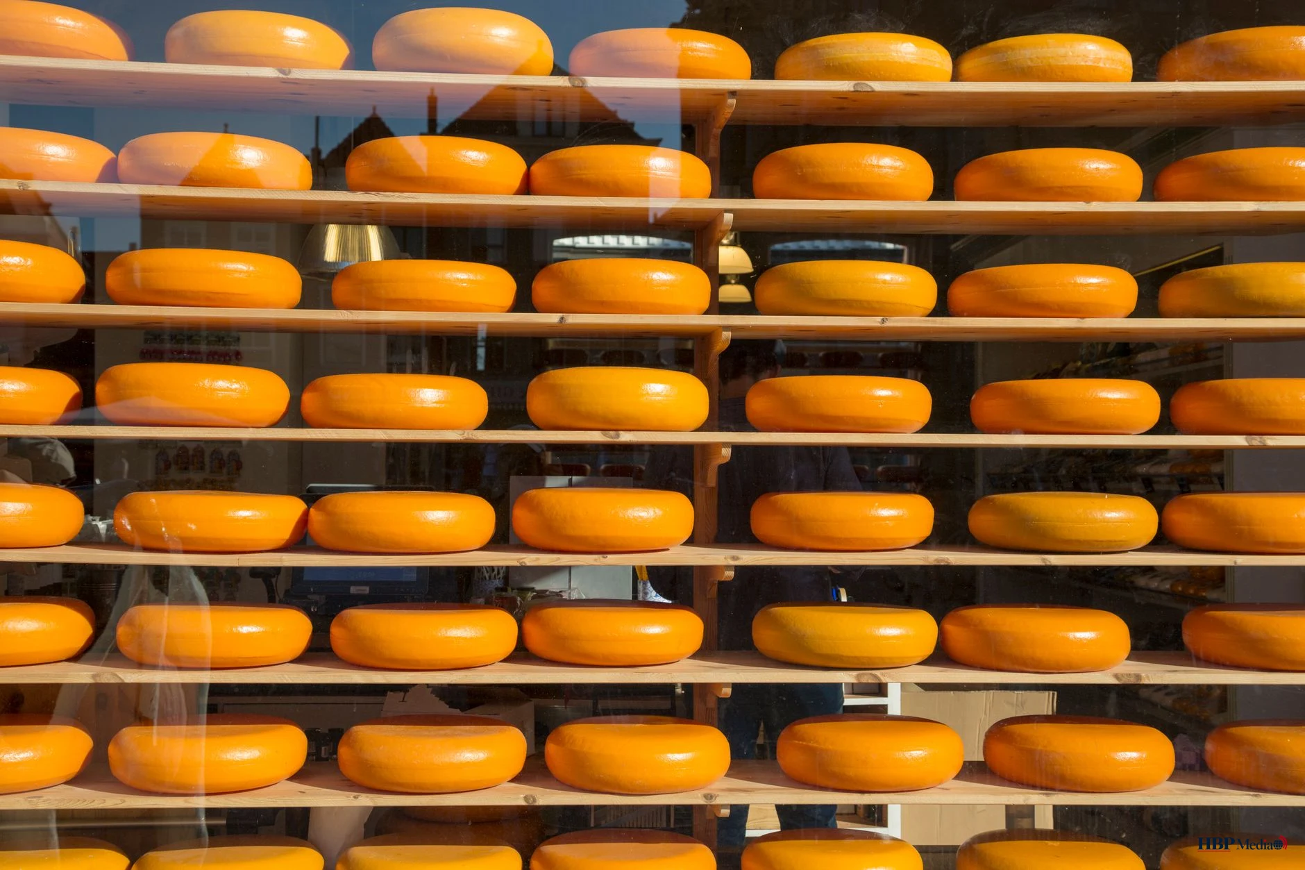 colorful cheese wheels displayed in window