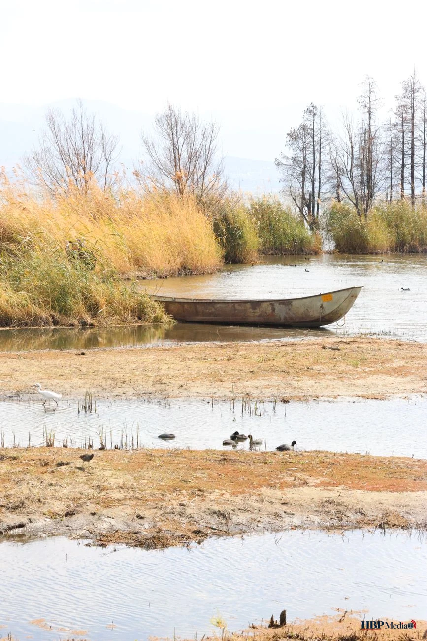 tranquil scene of abandoned boat on riverbank