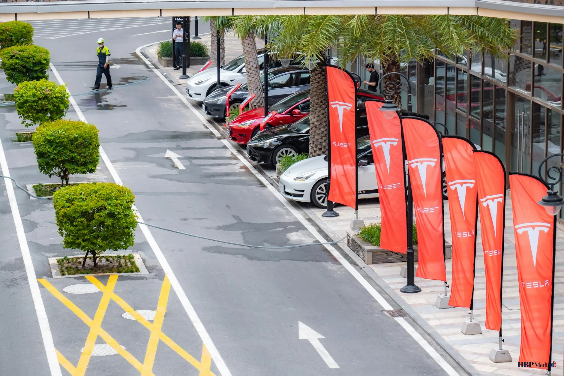 Een rij tweedehands elektrische auto's in een showroom van een autobedrijf.