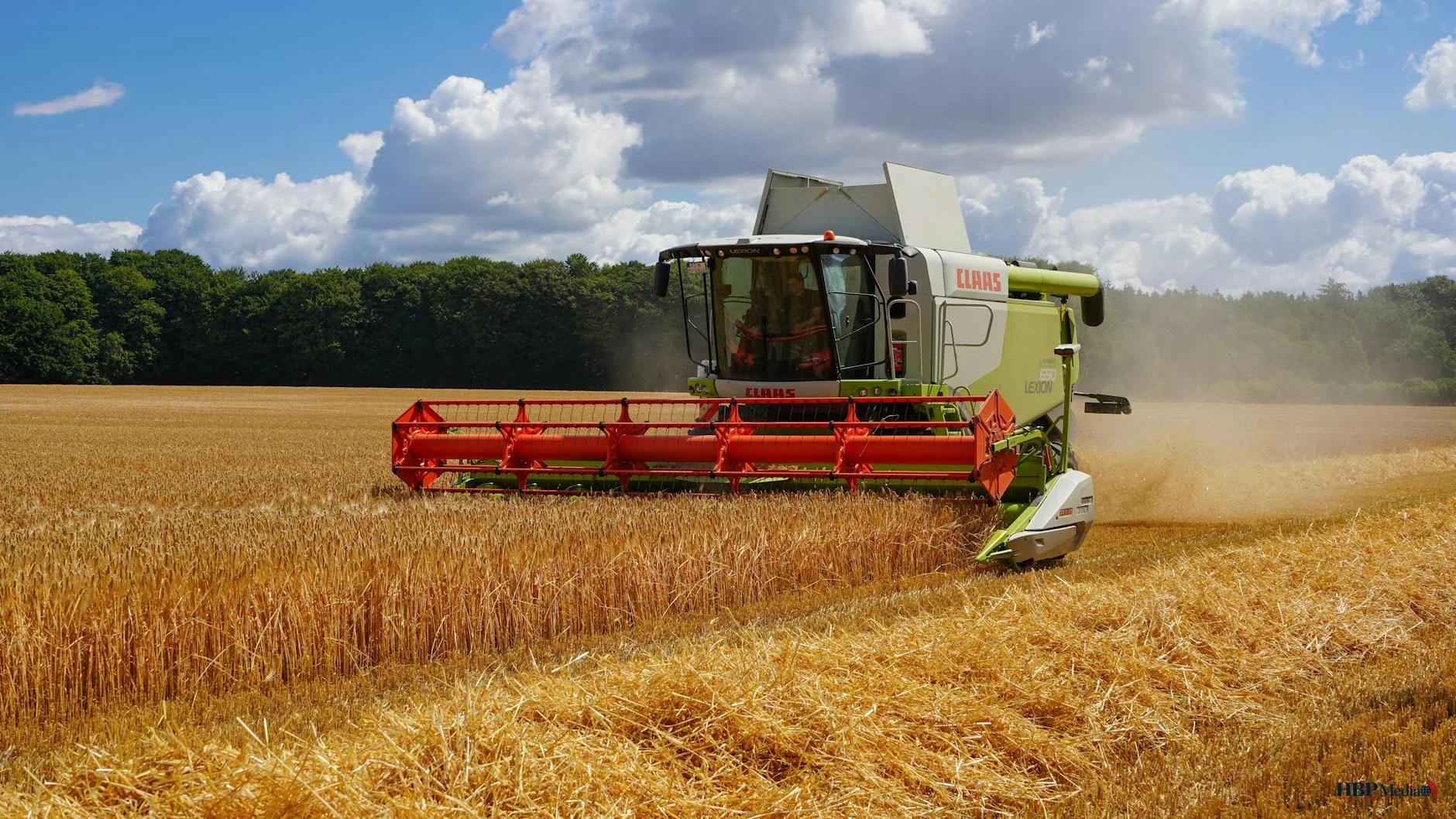 combine harvester in a wheat field at lauenburg
