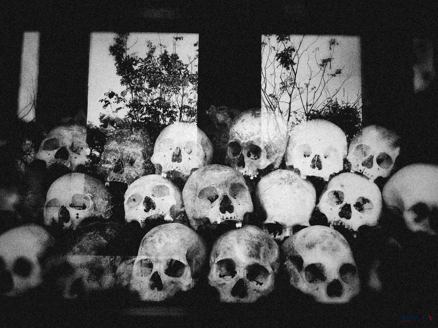 grayscale photo of skulls