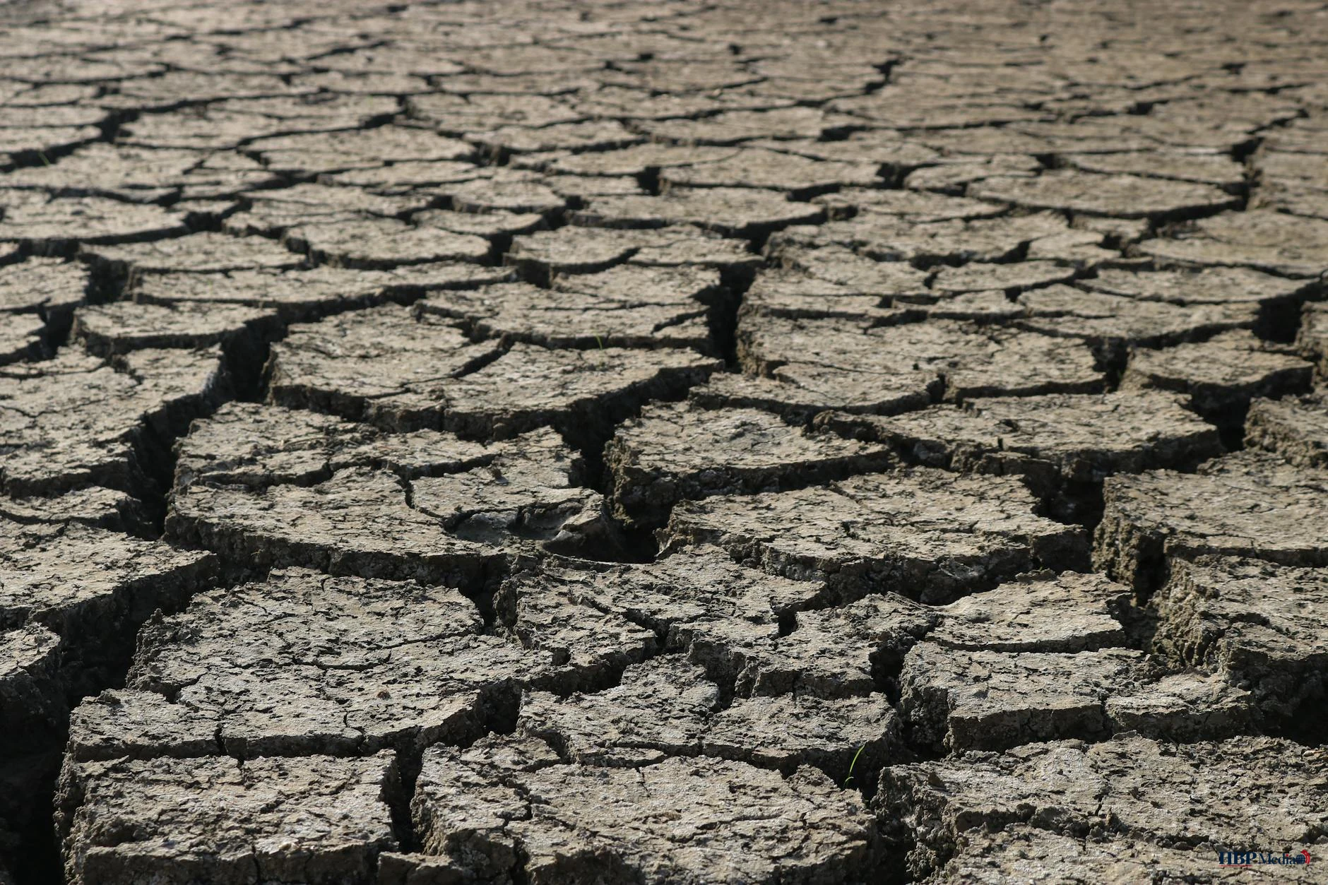 Jongeren op stapstenen in het water symboliseren de oversteek naar een klimaatbestendige toekomst.