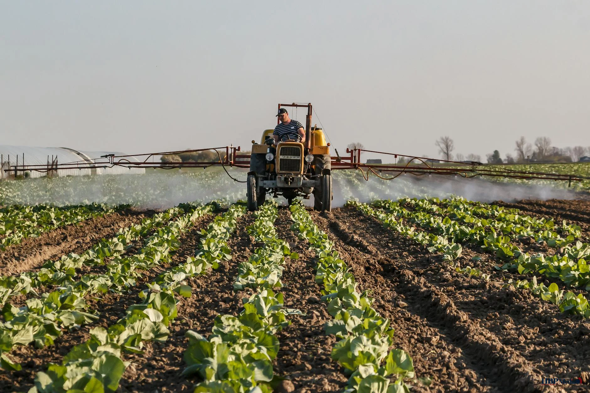Overleg over de toelating en veiligheid van Europese gewasbeschermingsmiddelen