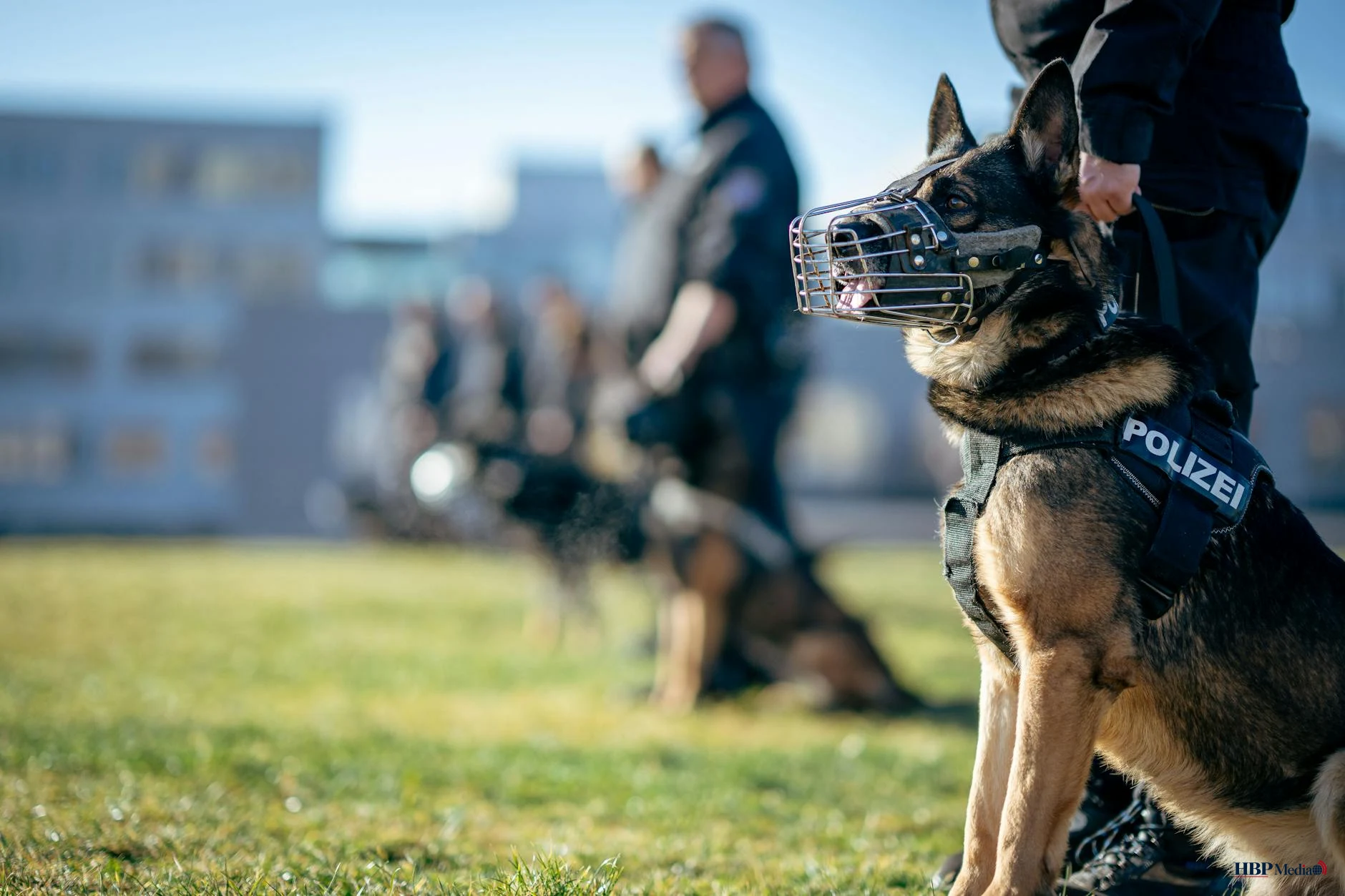 Politiehond en hondengeleider tijdens inzet bij een incident in Hilversum.