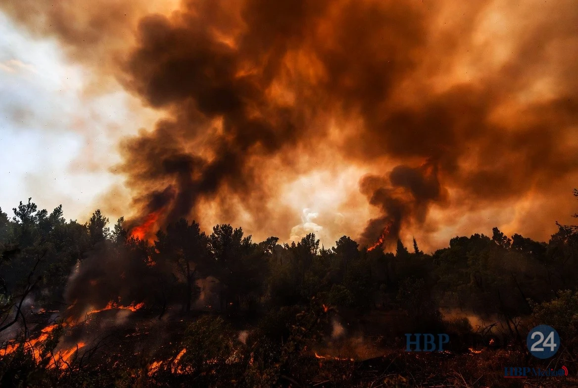 Grote rookpluimen boven een bos in Zuid-Frankrijk tijdens een bosbrand.