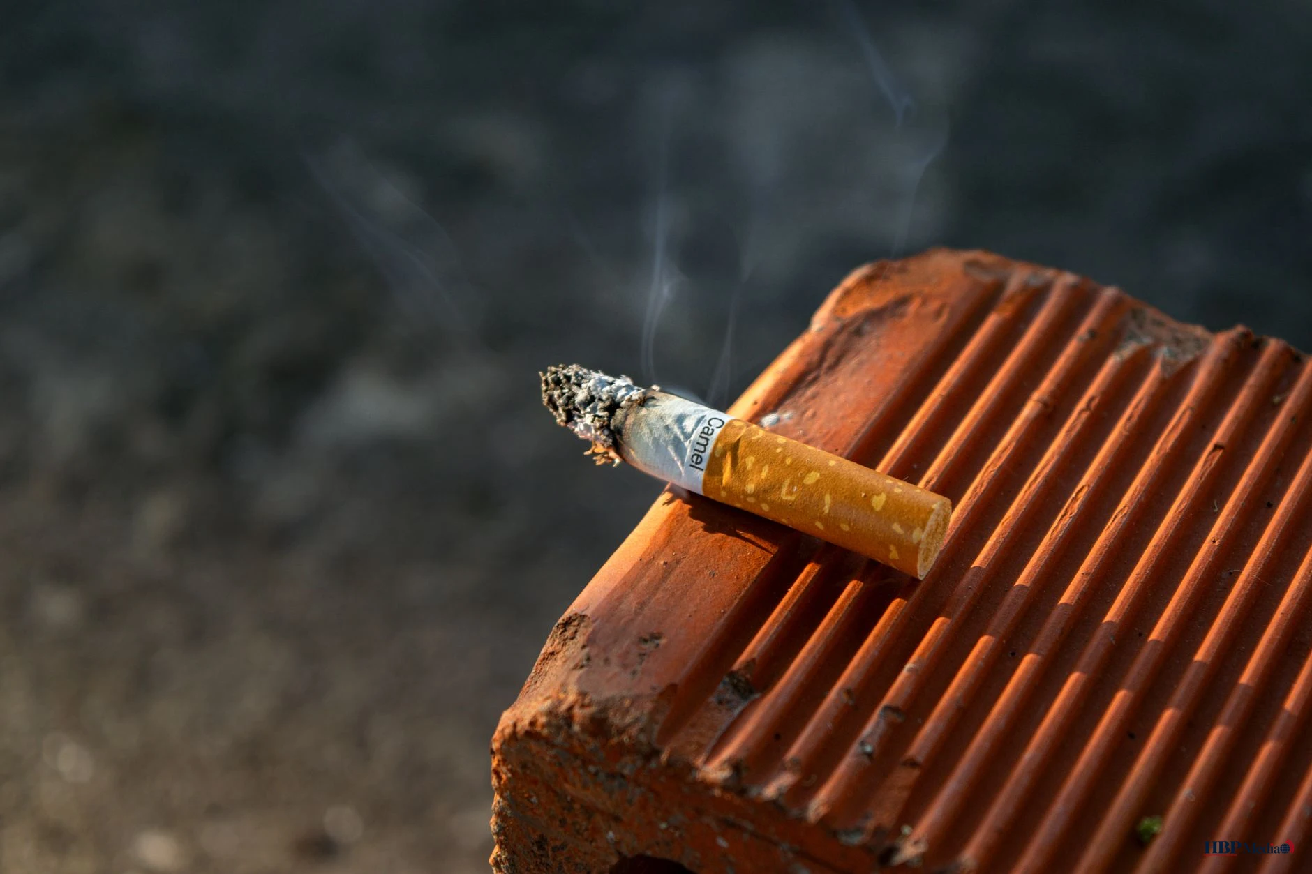 burned cigarette butt on grooved clay surface