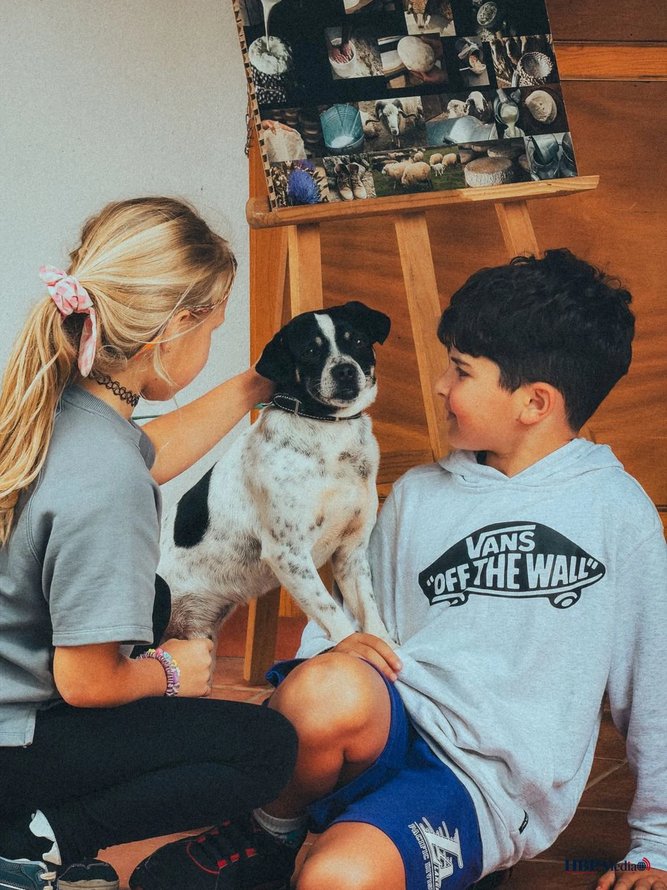 children playing with dog in tenerife