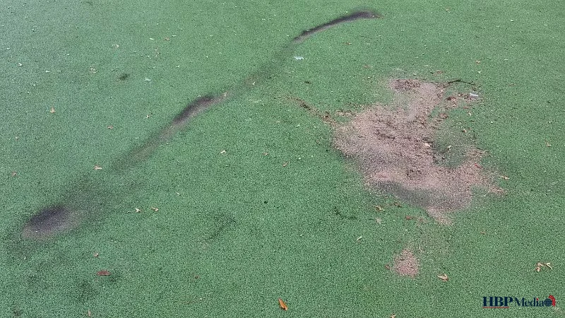 Het betreffende grasveld in Barneveld dat leidde naar de vondst van illegaal vuurwerk