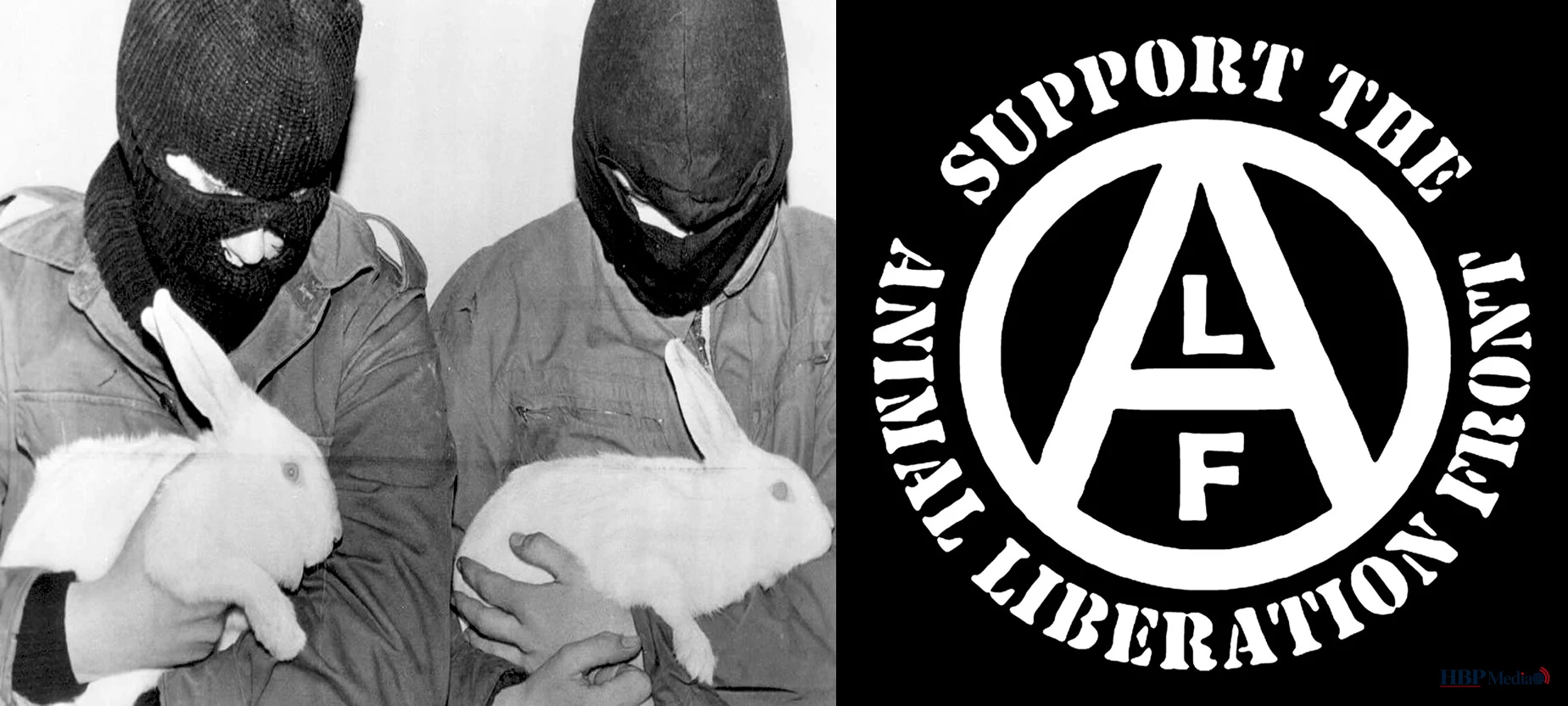 De grens tussen idealisme en terreur – het Animal Liberation Front ontleed