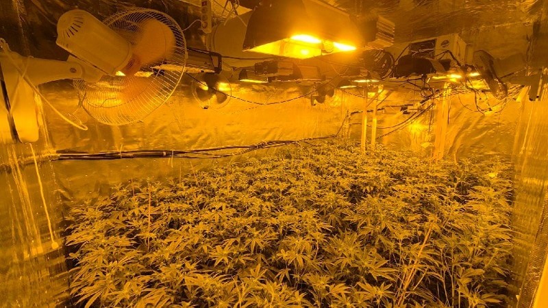 Integrale controle van het Haventeam Velsen bij bedrijfspanden aan de Dokweg in IJmuiden