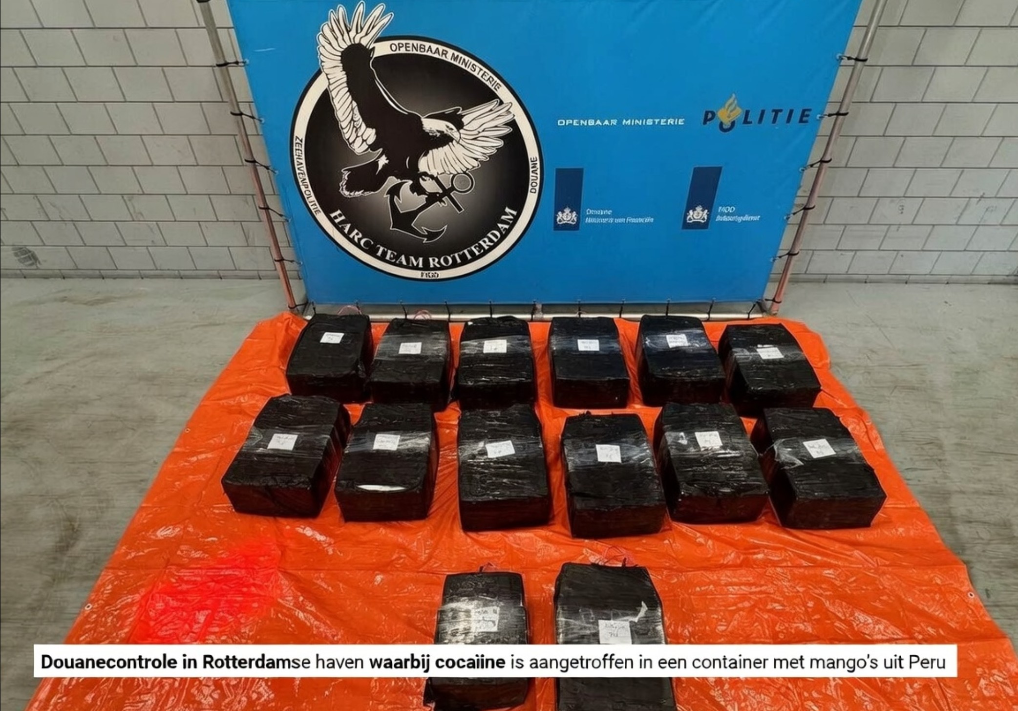 Douanecontrole in Rotterdamse haven waarbij cocaïne is aangetroffen in een container met mango’s uit Peru.