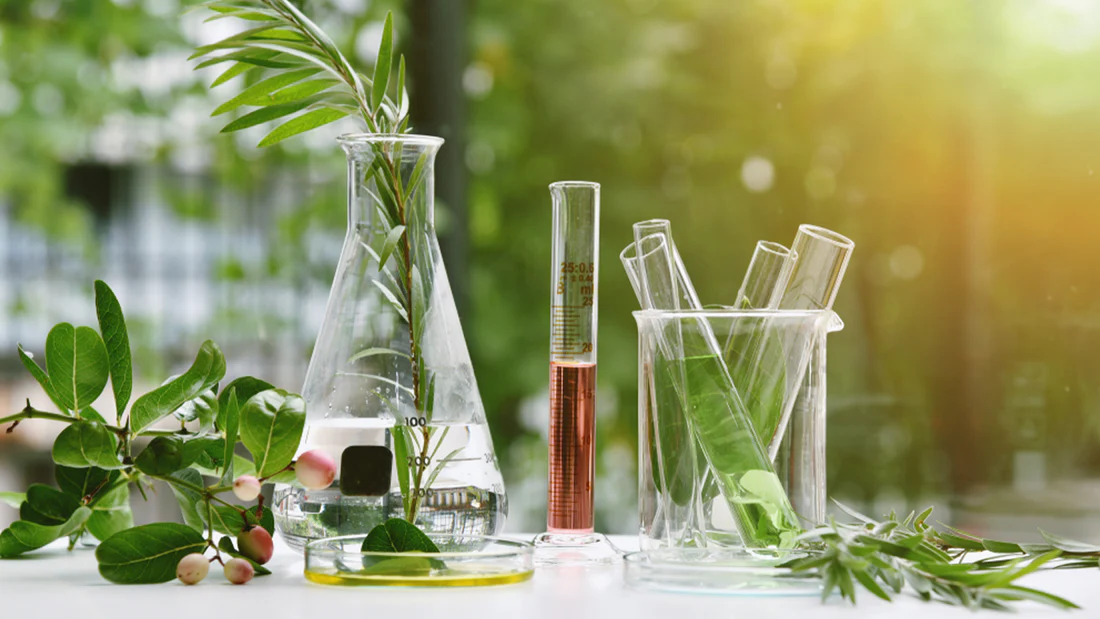 Gebouw van de Hoge Raad der Nederlanden in Den Haag, waar het arrest over D-Carvone is uitgesproken.