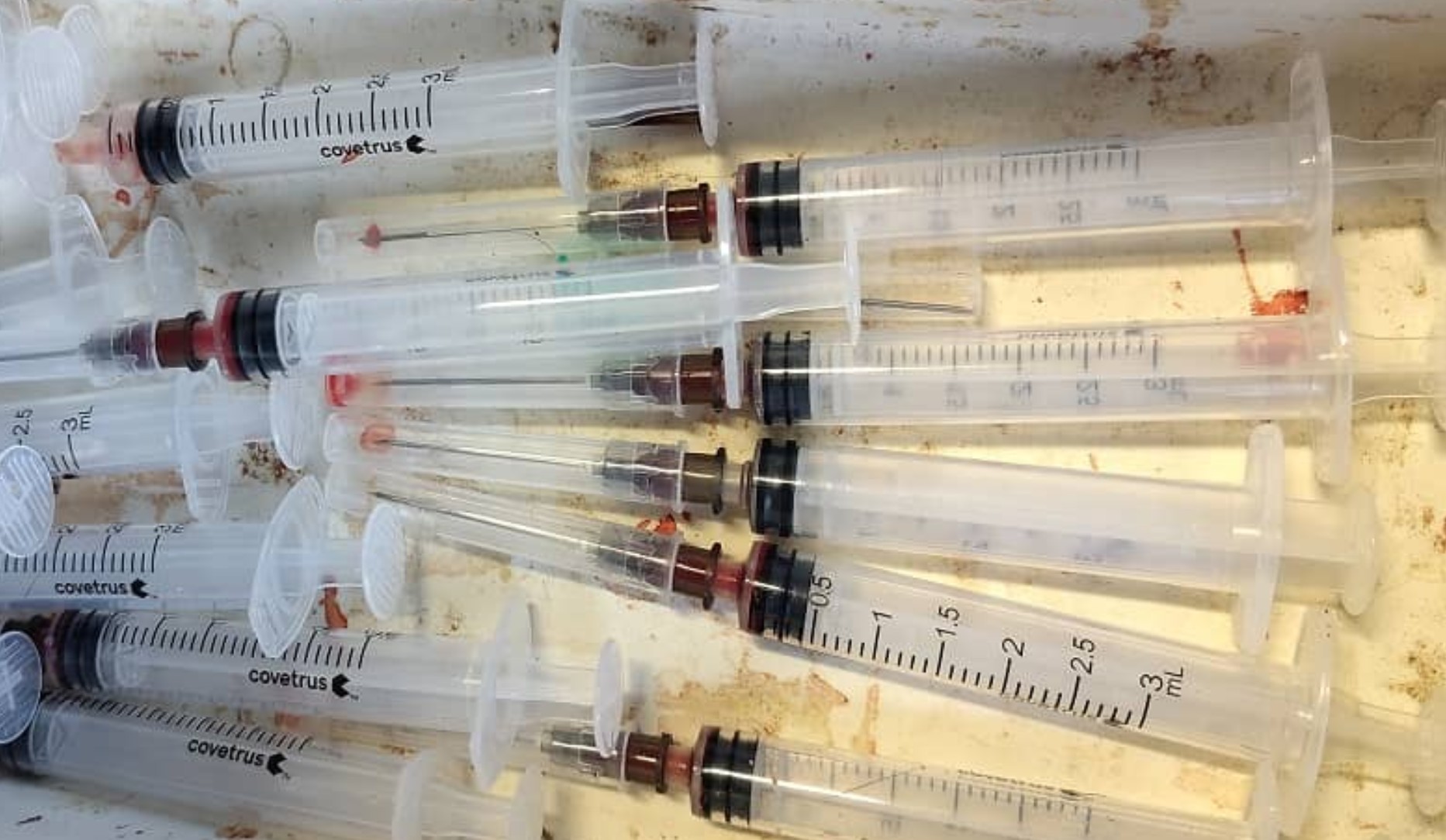 Inspecteurs van de NVWA-IOD verrichten onderzoek naar illegale diergeneeskundige handelingen