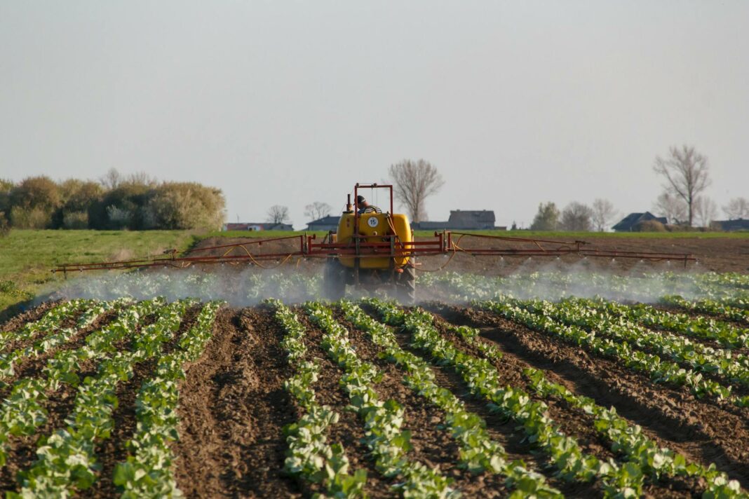 Verboden pesticiden aangetroffen in dagelijkse voeding Verpakkingen van rijst, thee en specerijen in een laboratoriumopstelling voor onderzoek naar resten van verboden pesticiden.