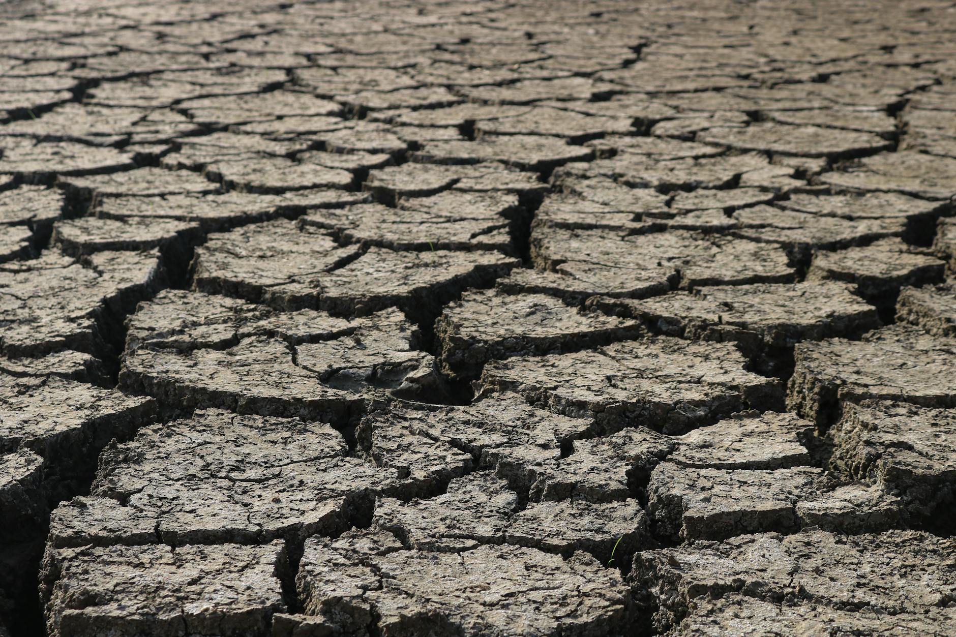 Jongeren op stapstenen in het water symboliseren de oversteek naar een klimaatbestendige toekomst.